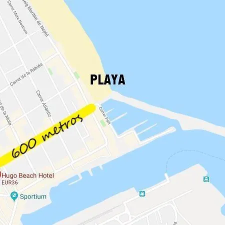 Hugo & Gandie